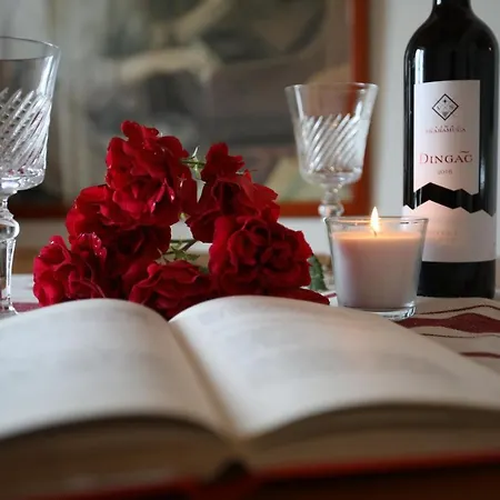 Noemi Apartment Malinska